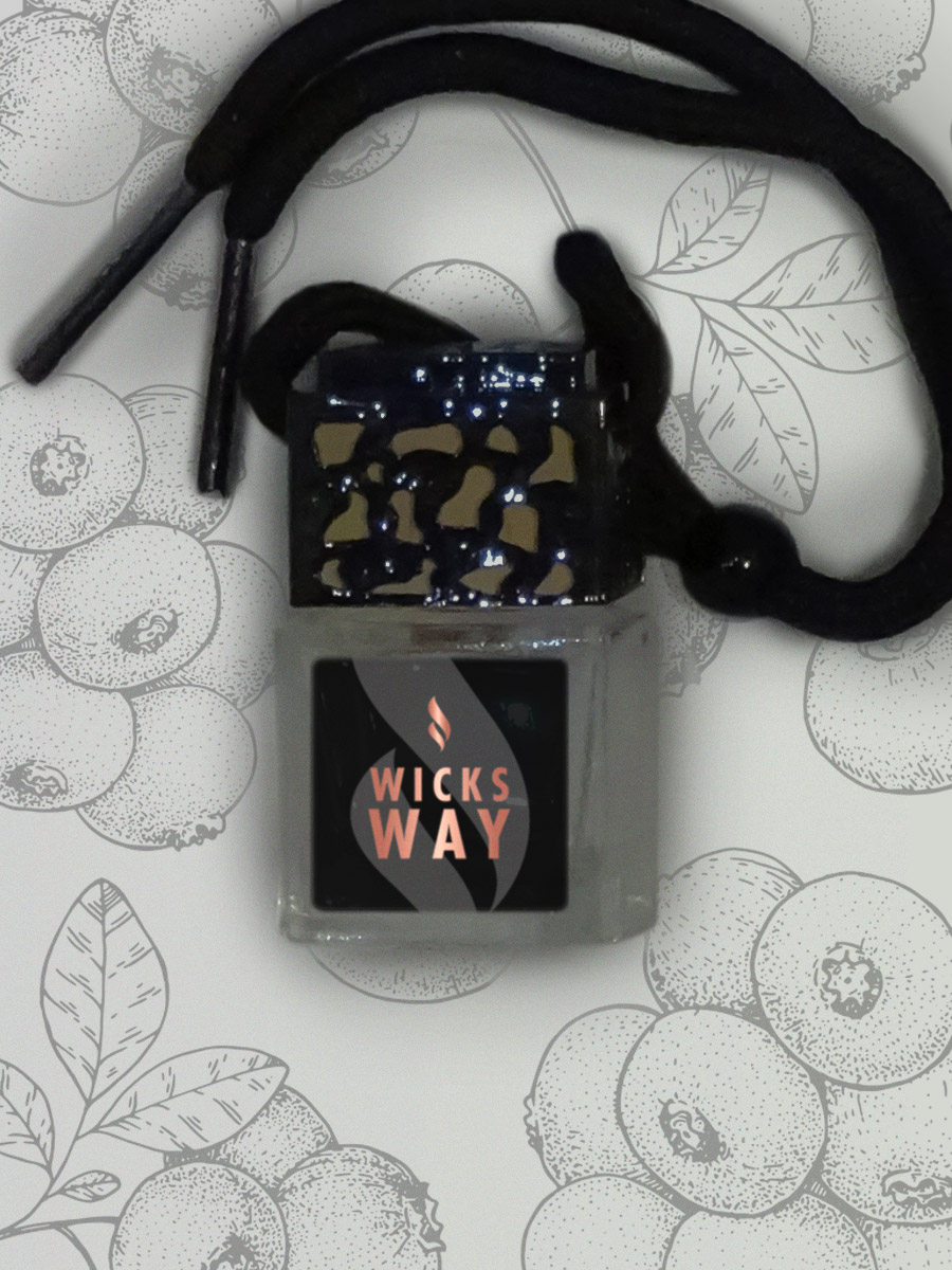 Blueberry and Vanilla Car Diffuser Wicks Way